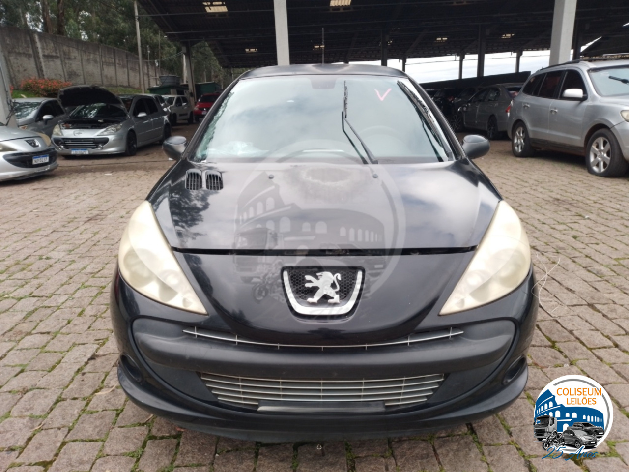 LOTE 07 PEUGEOT/207 PASSION XS FLEX 2008/2009 